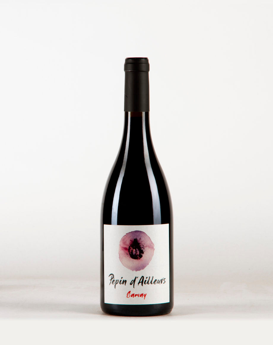 PEPIN D`AILLEURS Gamay, Kevin Bouillet 2021