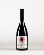 PEPIN D`AILLEURS Gamay, Kevin Bouillet 2021