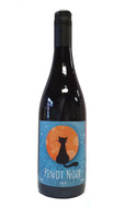 Pinot Noir, Ancre Hill, Monmouthshire Wales 2020