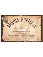 Arbois-Pupillin "Maison Pierre Overnoy" Houillon-Overnoy Emmanuel Houillon 2020 (PLEASE CONATACT US FOR AVAIBILITY)