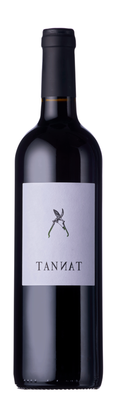 Madiran Tannat, Domaine Capmartin 2023