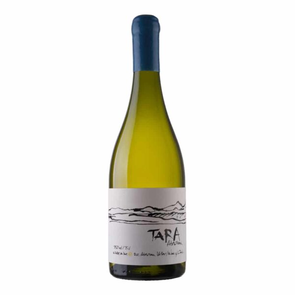Tara Sauvignon Blanc , Vina Ventisquero, Atacama 2022