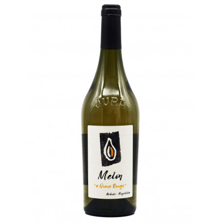 Melon à Queue Rouge, Kevin Bouillet 2021